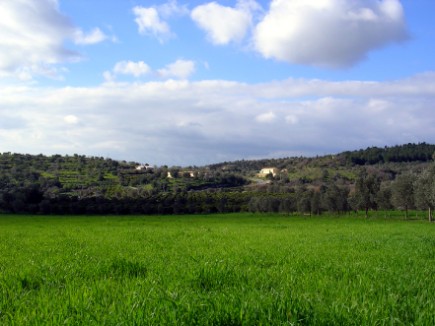 Azienda Agrituristica a Noto